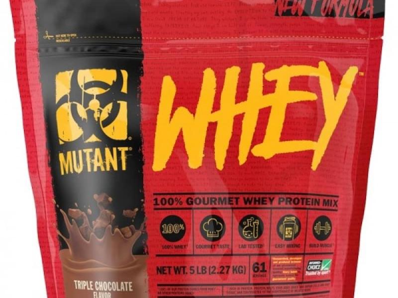  100% WHEY PROTEIN